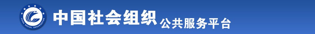 用力肏我逼视频全国社会组织信息查询